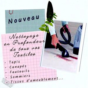 Nettoyage tapis et canapés