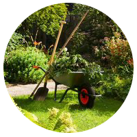 Entretien jardin Sainte Maxime